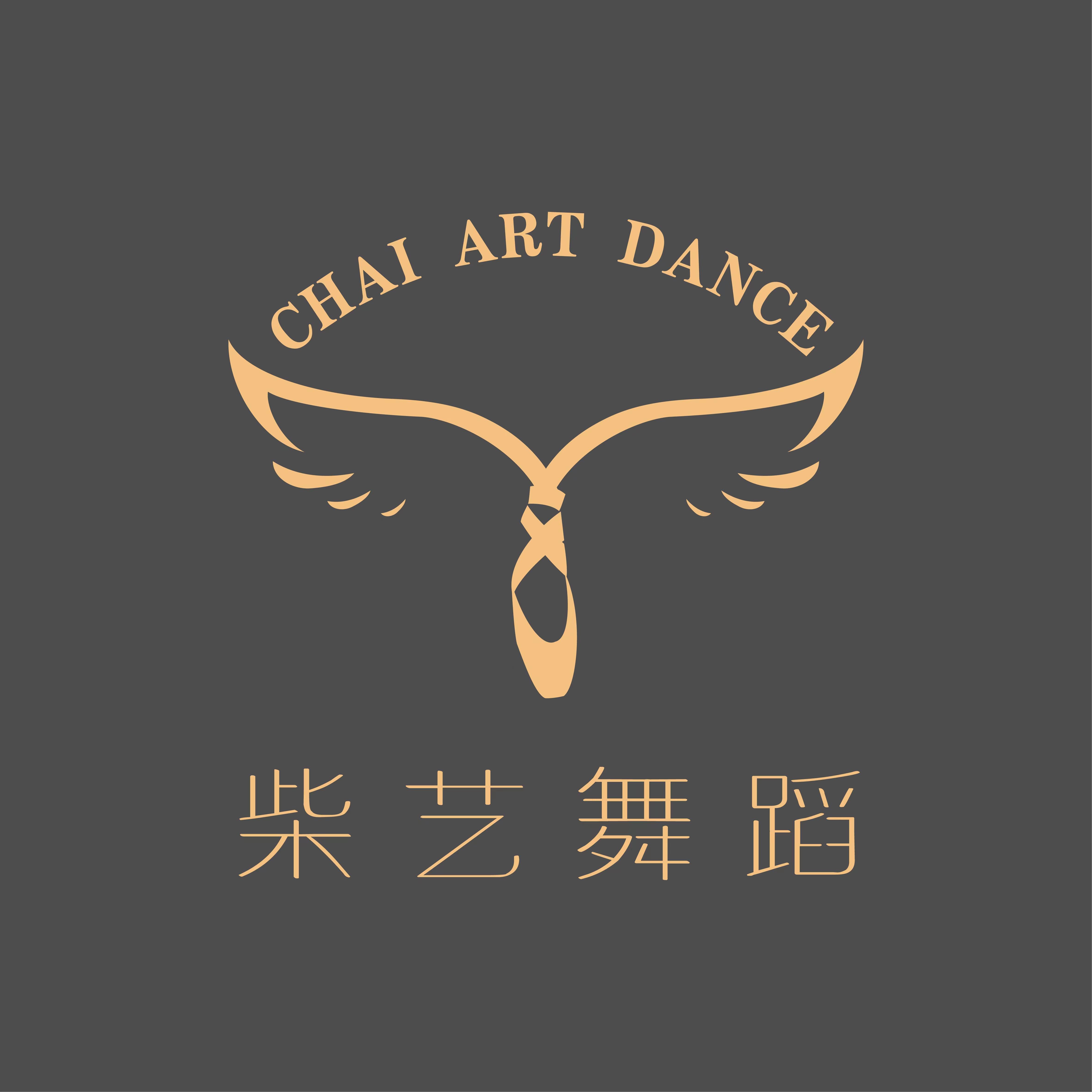 杭州柴艺舞蹈培训有限公司