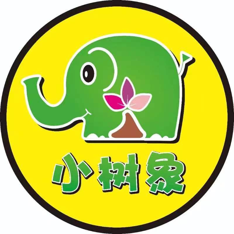龙州县小树象艺术培训有限责任公司