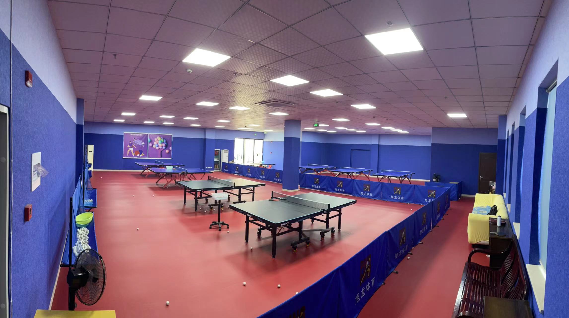 绍兴市越城区旭龙体育培训有限责任公司