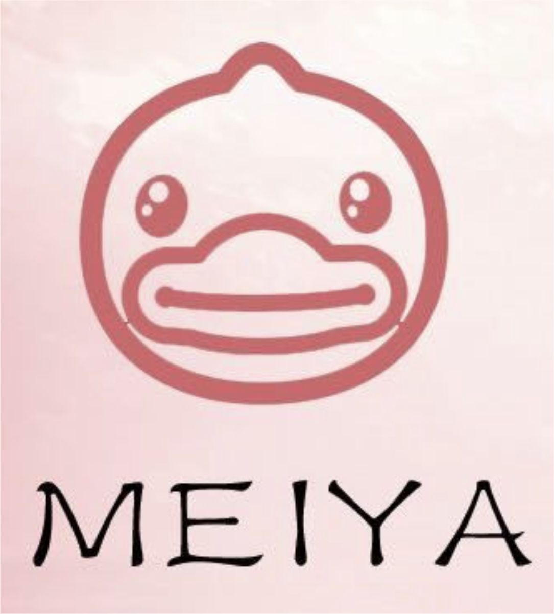 共和美丫舞蹈艺术培训中心