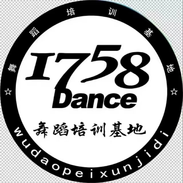 叶县辉舞林艺术培训有限公司