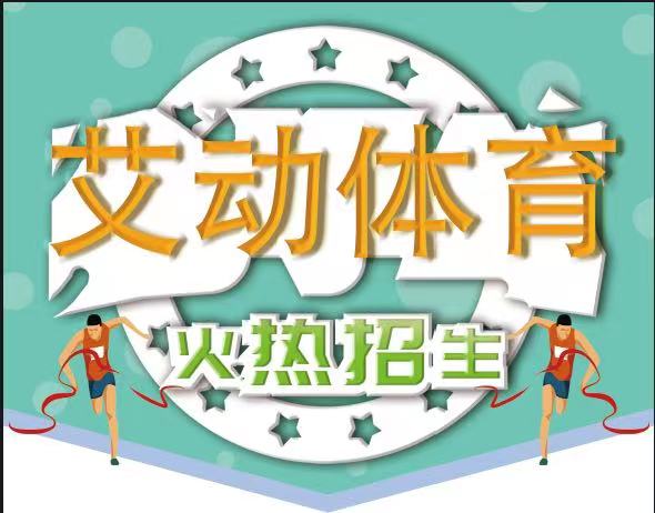 兴化市艾动体育培训有限公司