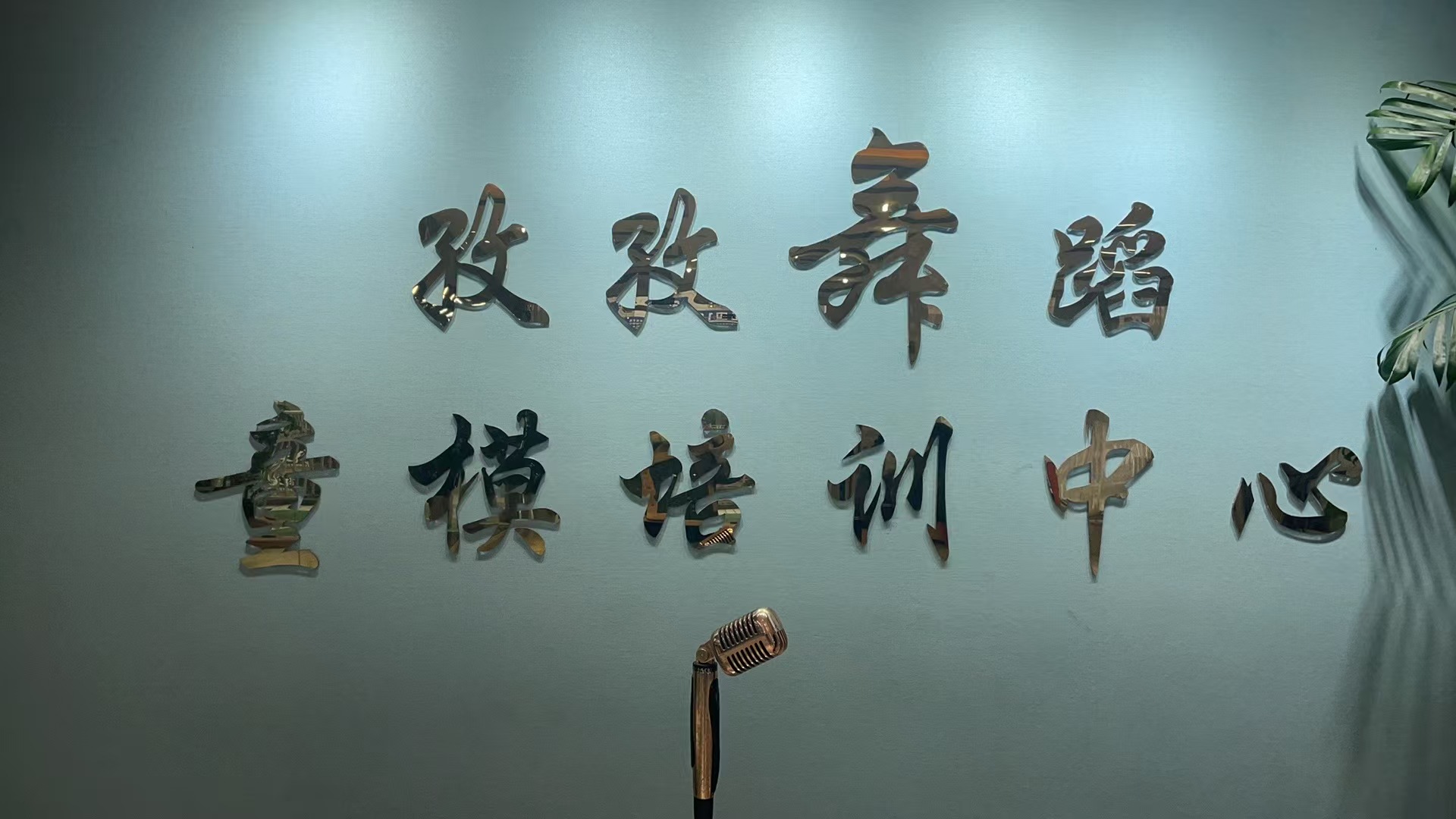 宝应县孜孜舞蹈培训有限公司