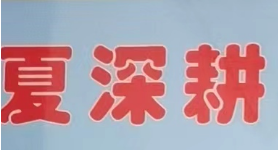 永康夏深耕书法培训有限公司