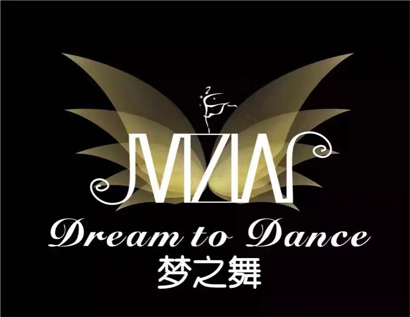 中卫市梦之舞艺术培训学校有限公司